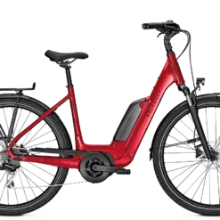 Vélo électrique ENDEAVOUR 1.B MOVE - 400 Ou 500Wh (2022)