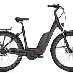 Vélo électrique IMAGE 1.B MOVE - 500 Wh (2022)