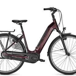 Vélo électrique AGATTU 3.B Move BLX 500Wh (2021)